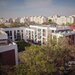 Icon Garden, garsoniera cu gradina, ansamblu nou, finalizat,